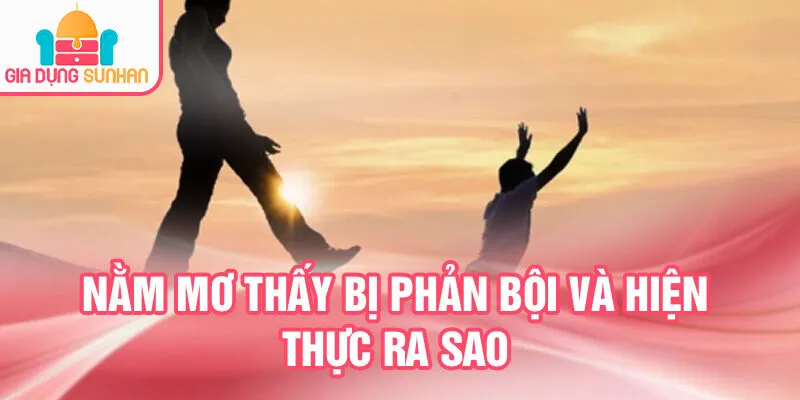 Nằm Mơ Thấy Bị Phản Bội: Bí Mật Tiềm Ẩn Trong Giấc Mơ 2 Nằm mơ thấy bị phản bội và hiện thực ra sao