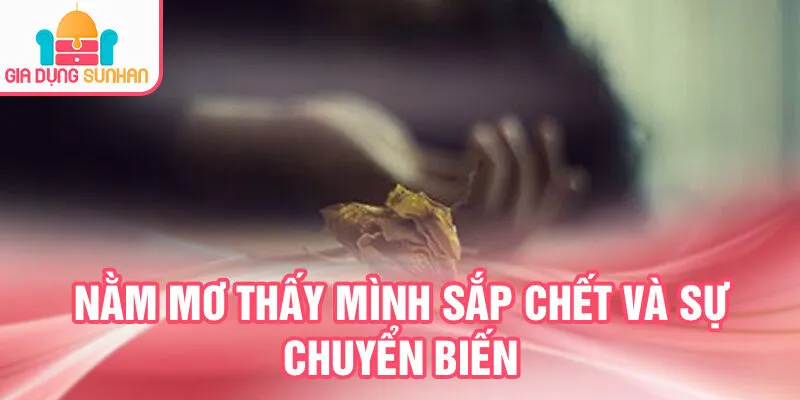 Nằm Mơ Thấy Mình Sắp Chết: Bí Ẩn Đằng Sau Giấc Mơ 2 Nằm mơ thấy mình sắp chết và sự chuyển biến