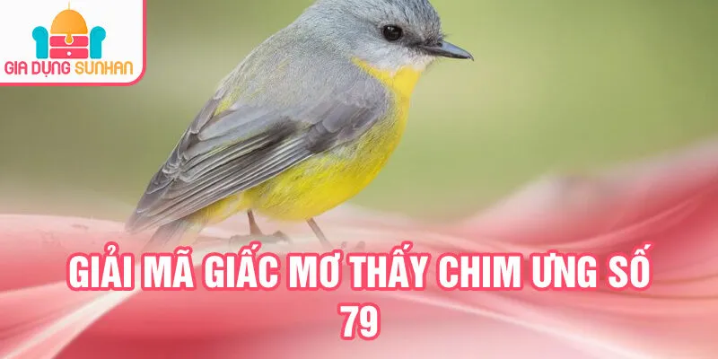 Nằm Mơ Thấy Chim Chóc: Dự Báo Tương Lai Bí Ẩn 3 Giải mã giấc mơ thấy chim ưng số 79