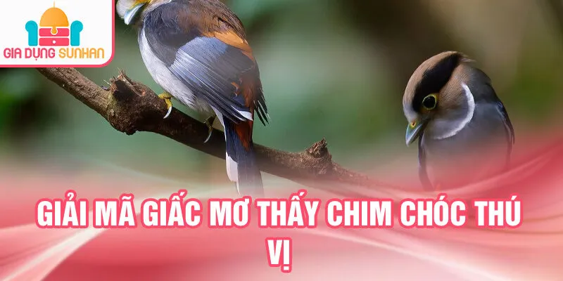 Nằm Mơ Thấy Chim Chóc: Dự Báo Tương Lai Bí Ẩn 4 Giải mã giấc mơ thấy chim chóc thú vị
